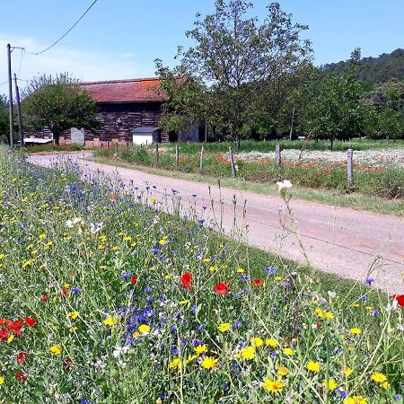 Gite Du Bouyssou Carsac-Aillac Exterior foto