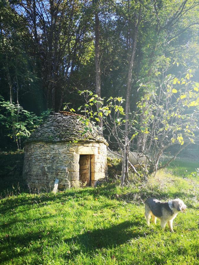 Gite Du Bouyssou Carsac-Aillac Exterior foto